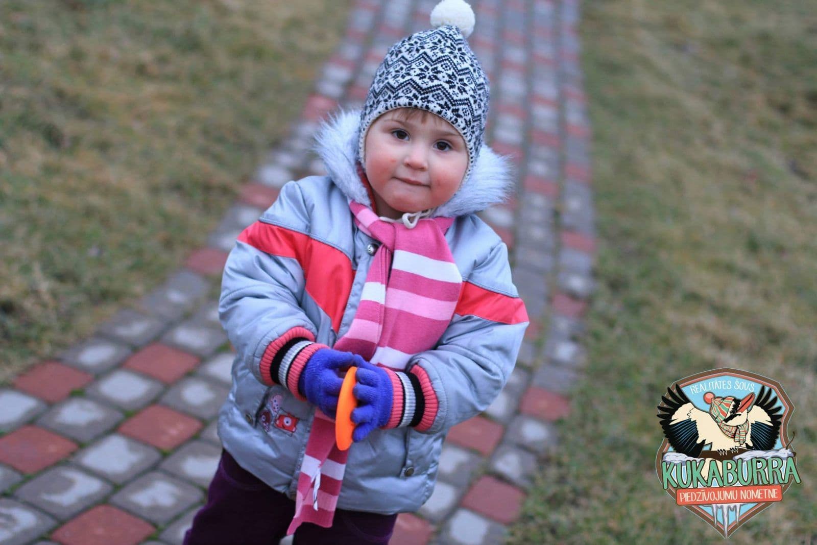 Disku golfs bernu nometne Kukaburra 2014 ufogolf