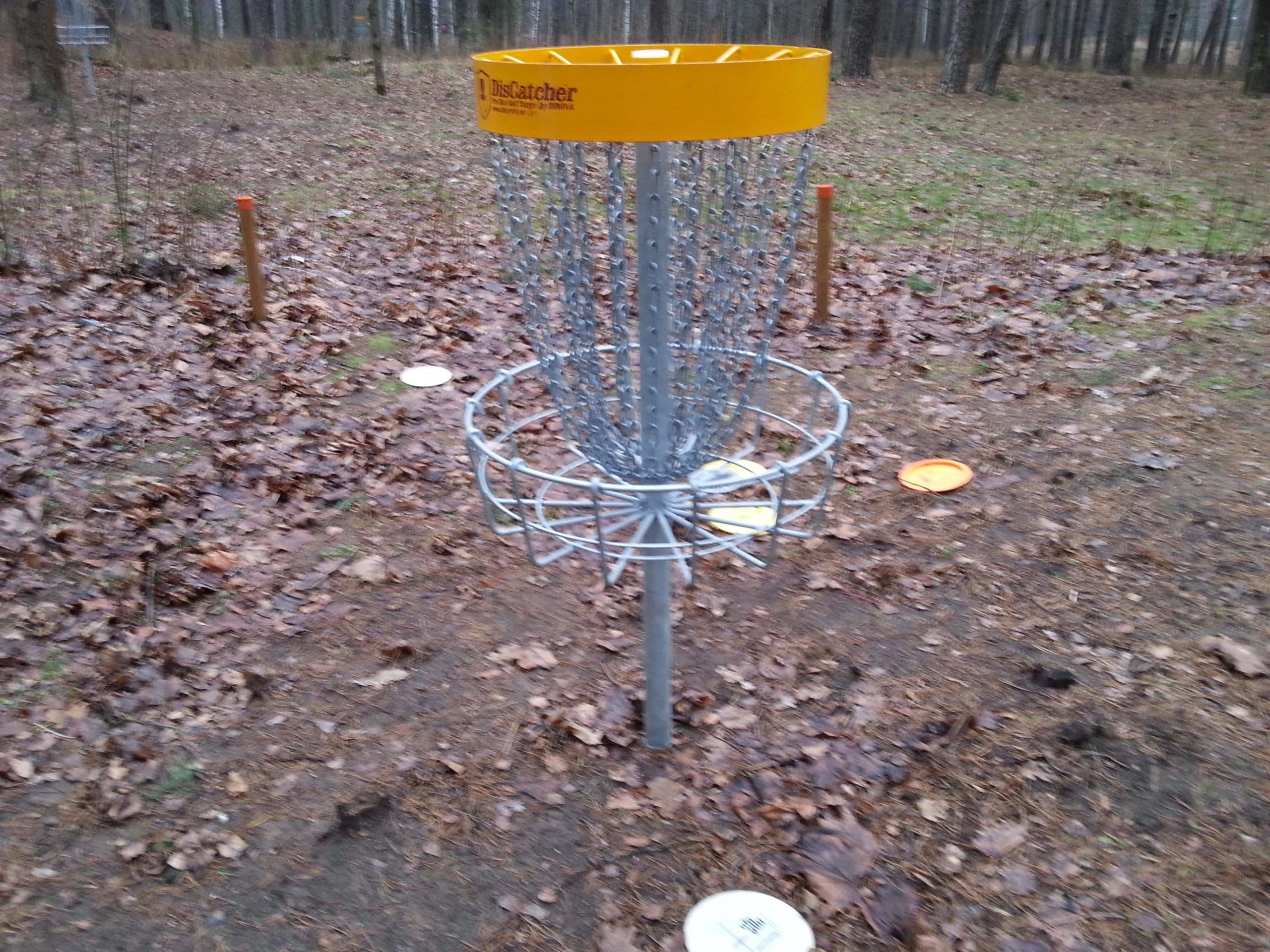 Disku golfs ziema atputa Mezaparka ufogolf 2014