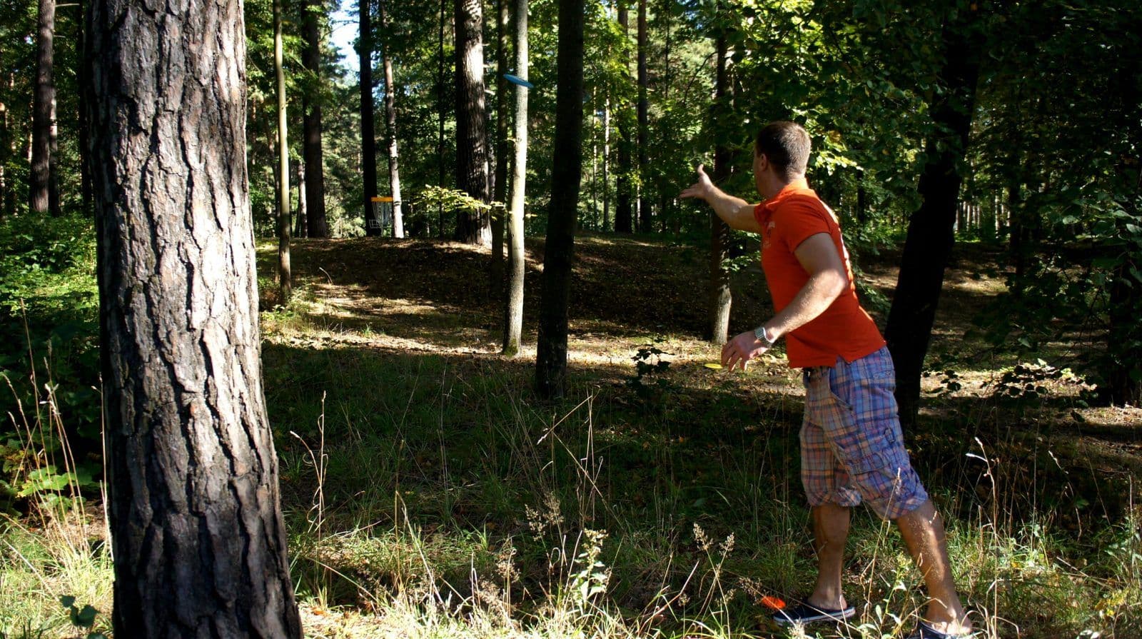 Disku golfs Mezaparka atputa Riga 2013