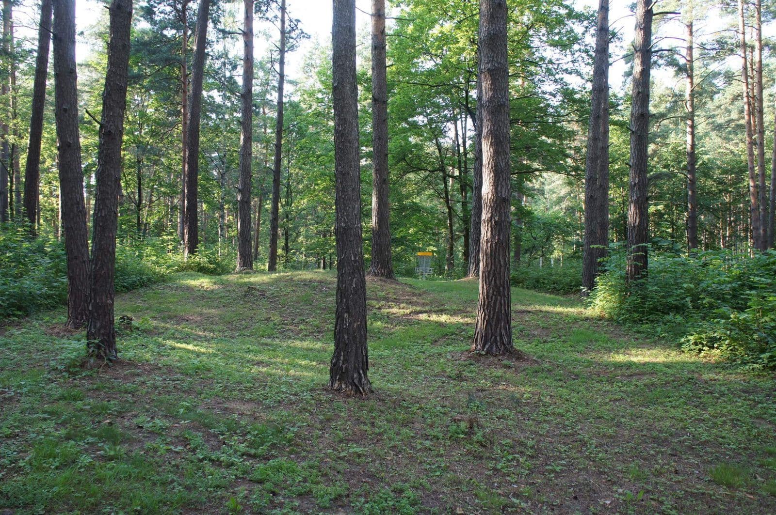 UFOGOLF disku golfa laukuma draugi un atbalstitaji Mezaparks Riga 2014