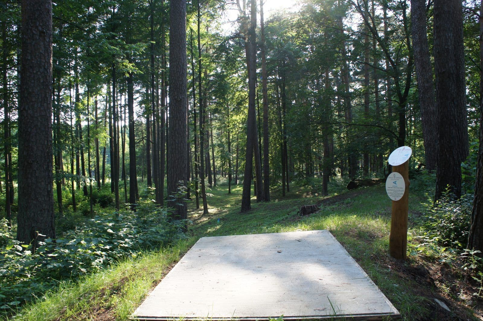 UFOGOLF disku golfa laukuma draugi un atbalstitaji Mezaparks Riga 2014