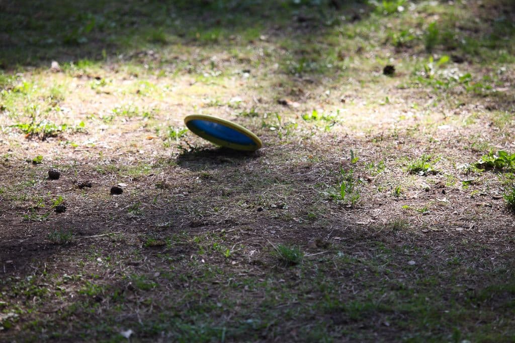 IMG_6890-2